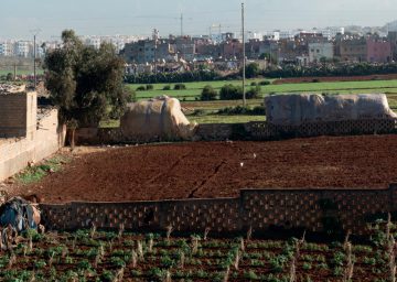 Exhibition 2017 Draussen. Landschaftsarchitektur auf globalem Terrain Casablanca