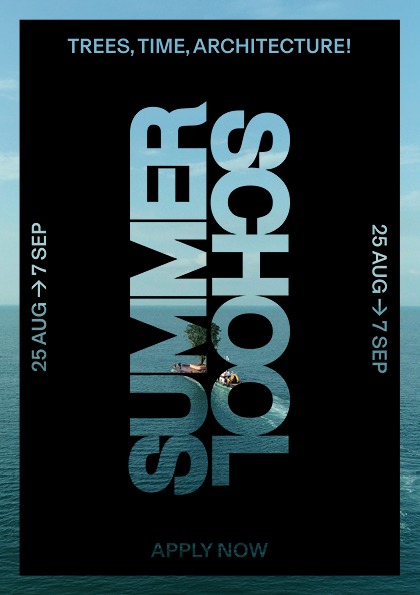 Poster Summer School 2025