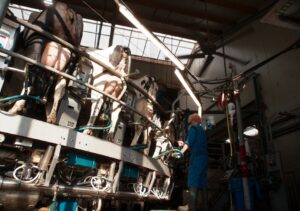 Symposium “Convivium. Food Systems at the Limit”