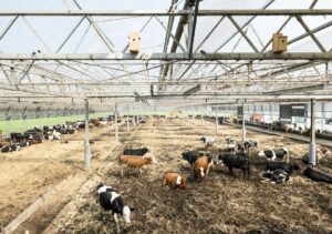 talk talk|  Art Talks