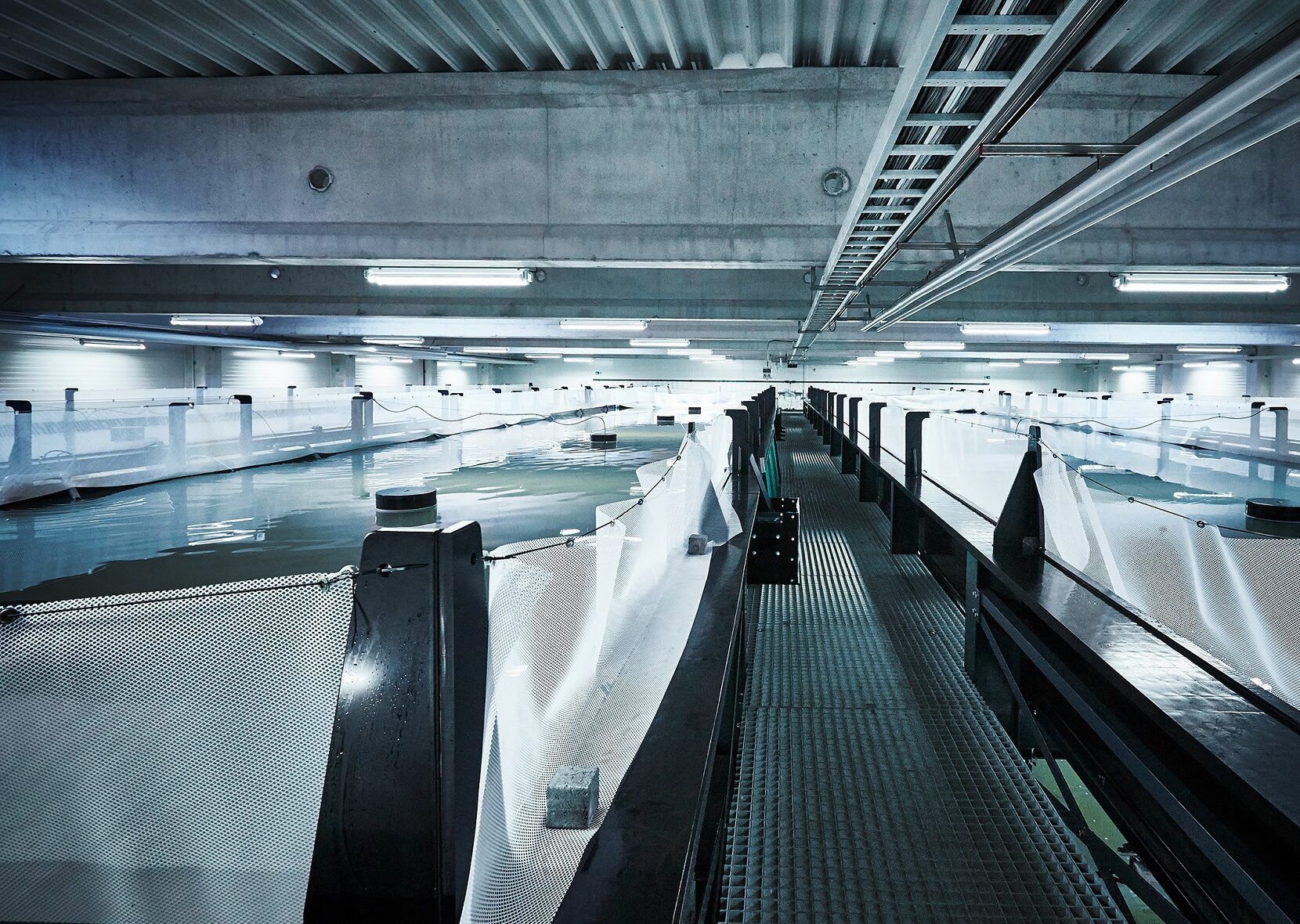 Poster of the exhibtion 4 Museen- 1 Moderne